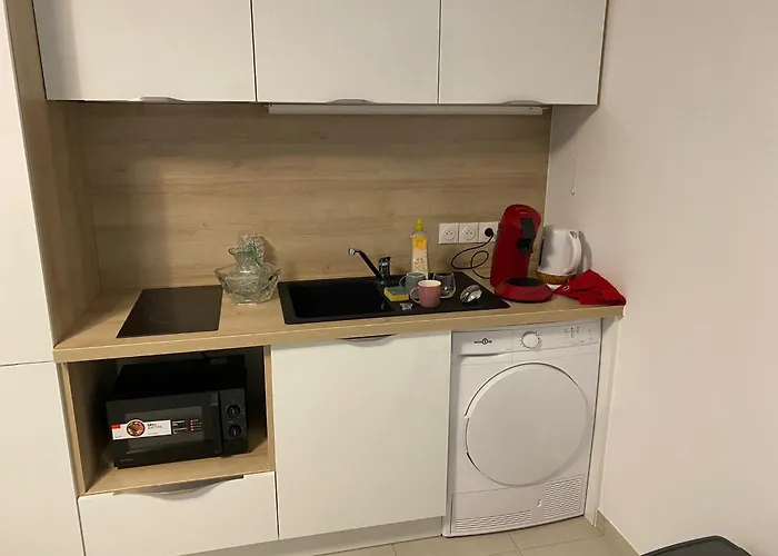 Avec Parking Prive, Piscine 300m Αντίμπ